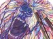 Олівець кольоровий Coloursoft (С670), Сіра голубка,Derwent 5028252188852 зображення 8 з 8