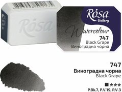 Краска акварельная, Виноградная черная, 2,5 мл, ROSA Gallery