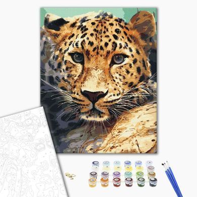 Картина по номерам Портрет леопарда, 40х50 см, Brushme