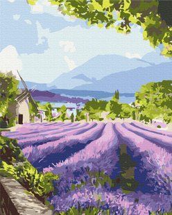 Картина за номерами Два світи Провансу 2, 40x50 см, Brushme
