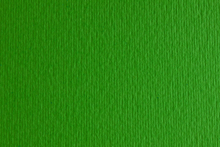 Бумага для дизайна Elle Erre В2, 50х70 см, 220 г/м2, №11 verde, зеленая, две текстуры, Fabriano