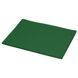 Картон для дизайну Decoration board А4, 21х29,7 см, 270 г/м2, №23 зелений темний, NPA 055373126999 зображення 1 з 2