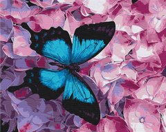 Картина по номерам Бабочка на цветах, 40x50 см, Brushme