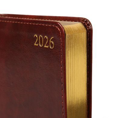 Щоденник датований 2026, А6, 352 сторінки, коричневий, інтегральний, Aldento, Leo Planner
