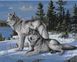 Картина по номерам Волки-защитники, 40х50 см, Brushme BS51412 фото 1 с 2