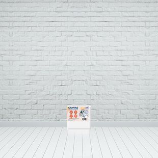 Холст на подрамнике 15х15 см, Brushme