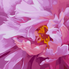 Картина по номерам Розовая феерия, © ArtAlekhina, 40х40 см, Santi 4823099544301 фото 1 с 2