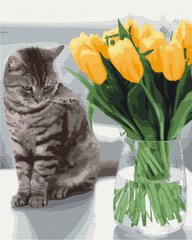 Картина за номерами Котик із тюльпанами, 40х50 см, Brushme