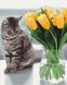 Картина за номерами Котик із тюльпанами, 40х50 см, Brushme BS52638 зображення 1 з 2
