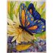 Алмазна вишивка Метелик На Жовтій Квітці 30х40 см DM-035 зображення 3 з 4
