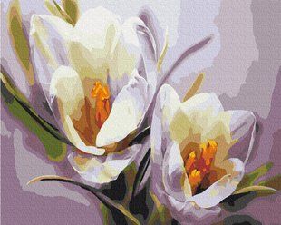 Картина за номерами Крокуси, 40х50 см, Brushme