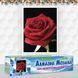 Алмазна мозаїка Бутон Троянди 20х30 см DM-312 зображення 2 з 3