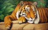 Алмазная мозаика Мудрый Тигр 50х30 см