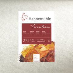 Папір акварельний Hahnemuhle Torchon, 50х65 см, 275 г/м², Rough, лист, Hahnemuhle