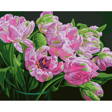 Картина за номерами Вишукані тюльпани, 40х50 см, Santi