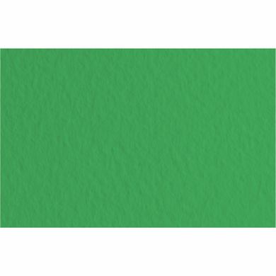 Бумага для пастели Tiziano B2, 50x70 см, №12 prato, 160 г/м2, зелёная, среднее зерно, Fabriano