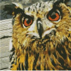 Алмазна мозаїка Strateg ПРЕМІУМ Добра сова 30х30 см CA-0050