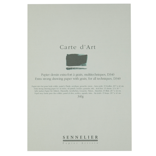 Альбом-склейка мультитехника Sennelier Carte d'art, 15 листов, 340 г/м&sup2;, 29,7x42 см