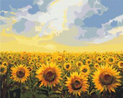 Картина по номерах із пофарбованими сегментами Поле соняшників, 40x50 см, Brushme