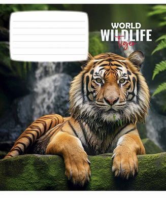 Тетрадь ученическая, 18 листов, в линию, ВД-лак, Wildlife, Школярик