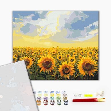 Картина по номерах із пофарбованими сегментами Поле соняшників, 40x50 см, Brushme