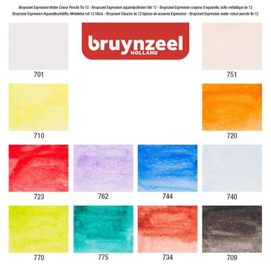 Набор акварельных карандашей EXPRESSION 12 штук, Bruynzeel