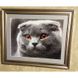 Алмазна вишивка Вислоухий Кіт 40х30 см DM-192 зображення 4 з 5