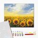 Картина по номерах із пофарбованими сегментами Поле соняшників, 40x50 см, Brushme PBS135 зображення 2 з 2