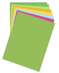Папір для дизайну Fotokarton B2, 50x70 см, 300 г/м2, №51 світло-зелений, Folia