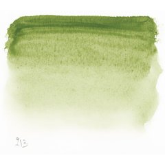 Краска акварельная L'Aquarelle Sennelier Зелёная земля №213 S1, 10 мл, туба