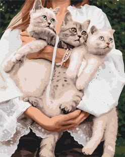 Картина за номерами Улюблені муркотики, 48х60 см, Brushme