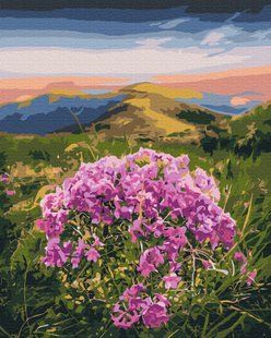 Картина за номерами Цвітіння Карпат &copy; Roksolana Baran, 40x50 см, Brushme