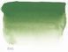 Акварельна фарба Sennelier, півкювета, S3, Зелений оксид хрому (Chromium Oxide Green) N131541.815 зображення 3 з 4
