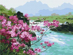 Картина за номерами Гірські квіти, 30x40 см, Brushme