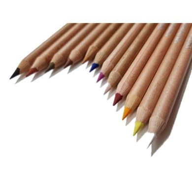 Набір акварельних олівців Artist Studio Line Портрет 12 штук, Cretacolor