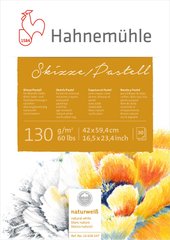 Альбом-склейка для пастелі Skizze/Pastell А4, 21х29,7 см, 130 г/м², 30 аркушів, Hahnemuhle