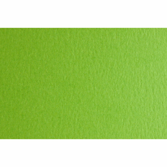 Бумага для дизайна Colore B2, 50x70 см, №30 verde piselo, 200 г/м2, салатовая, мелкое зерно, Fabriano