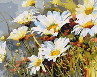 Картина за номерами Сунички в ромашках, 40x50 см, Brushme