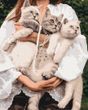 Картина по номерам Любимые муркотики, 40х50 см, Brushme