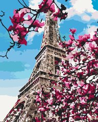 Картина за номерами Цвітіння магнолій у Парижі, 40x50 см, Brushme