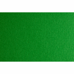 Бумага для дизайна Colore B2, 50x70 см, №31 verde, 200 г/м2, зелёная, мелкое зерно, Fabriano
