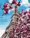 Картина за номерами Цвітіння магнолій у Парижі, 40x50 см, Brushme BS32320 зображення 1 з 3