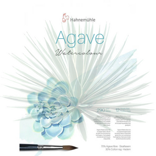 Бумага акварельная Agave, 50x65 см, 290 г/м&sup2;, CP, лист, Hahnemuhle