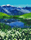 Картина за номерами Альпійські луги, 40х50 см, Brushme BS39458 зображення 1 з 2