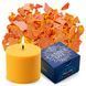 Барвник CANDLE SHOP, ЖОВТИЙ, для виготовлення свічок, пластівці, 57 г., Alexes PM-SB-004 зображення 1 з 6