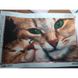 Алмазна вишивка Кішка З Кошеням 40х25 см DM-247 зображення 4 з 5