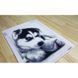 Алмазная вышивка Игривый Хаски 30x40 см DM-044 фото 3 с 5