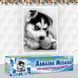 Алмазная вышивка Игривый Хаски 30x40 см DM-044 фото 2 с 5