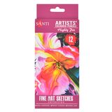 Набір художніх кольорових олівців Highly Pro, 12 штук, Santi