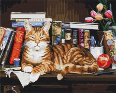 Картина за номерами Кіт на книжковій полиці, 40x50 см, Brushme
